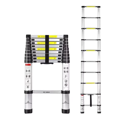Single Telescopic Ladder 10 steps (9.5ft)